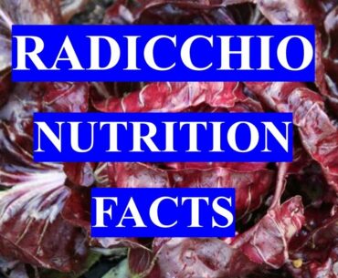 RADICCHIO VEGETABLE - HEALTH BENEFITS and NUTRITION FACTS