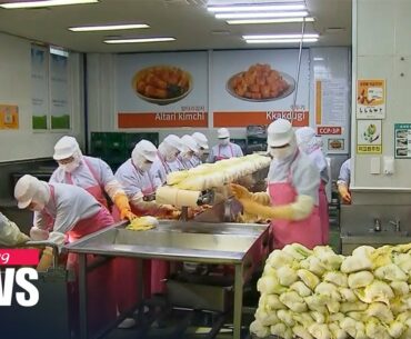 Kimchi in high demand as pandemic-driven healthy food trend rises