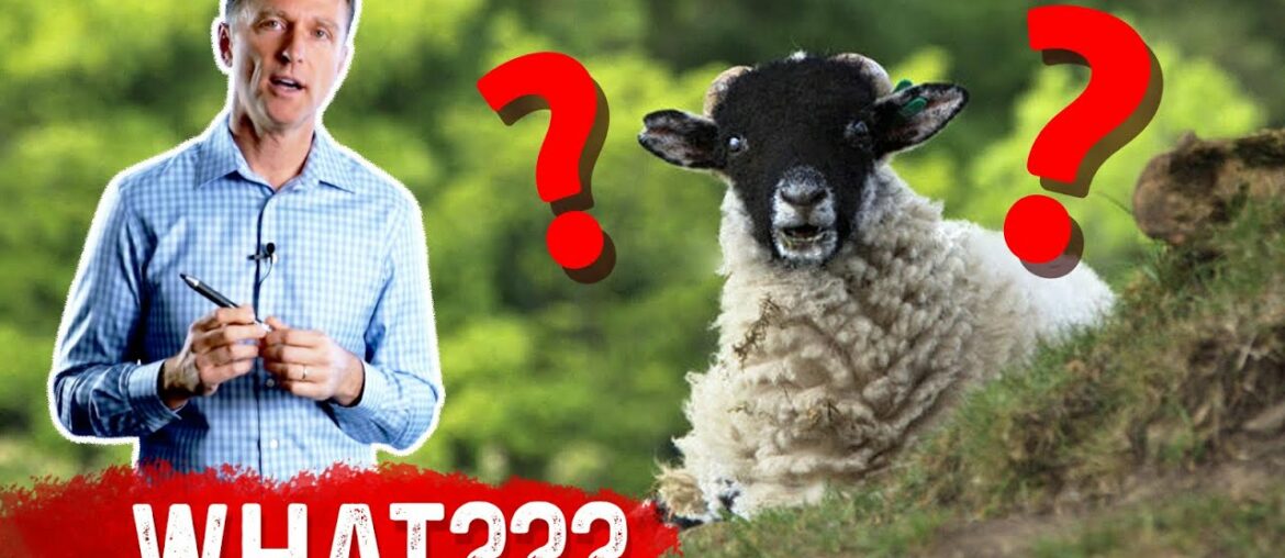 Vitamin D Comes From Sheep's Wool: WHAT???