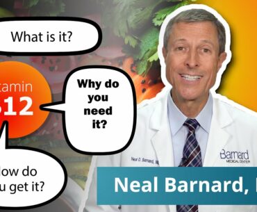 What You Need To Know About Vitamin B12