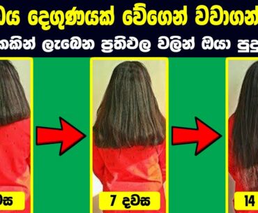 How to hair growth fast naturally at home sinhala | 2021 new beauty tips & Tricks | Rata wata (2021)