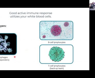 Presentation: Covid 19 Vaccines and Disease Immunity   HD 1080p