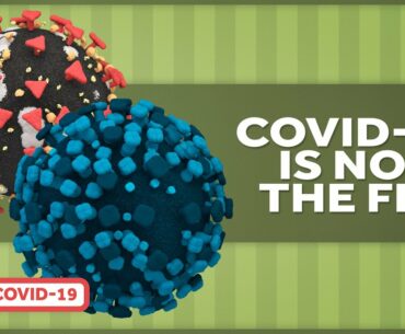 Covid-19 is NOT the Flu