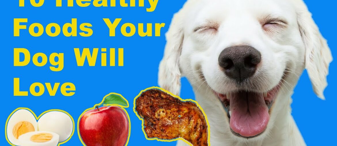 10 Healthy Human Foods Your Dog Will Love - Animal Wellness Magazine