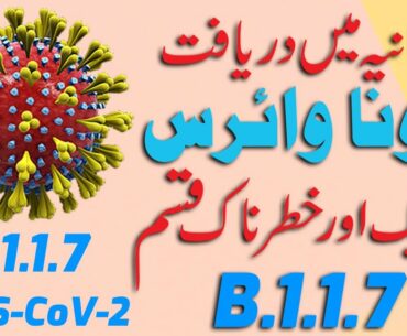 All About New Strain of CORONA Virus B.1.17 #COVID-19