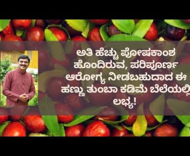 BENEFITS OF JUJUBE FRUIT | DR VENKATRAMANA HEGDE | NATUROPATHY | VEDA WELLNESS CENTER| NISARGA MANE