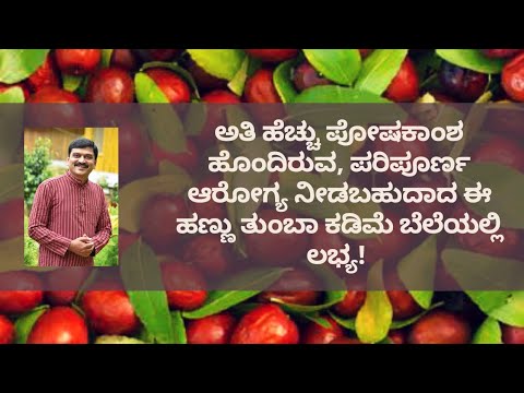 BENEFITS OF JUJUBE FRUIT | DR VENKATRAMANA HEGDE | NATUROPATHY | VEDA WELLNESS CENTER| NISARGA MANE