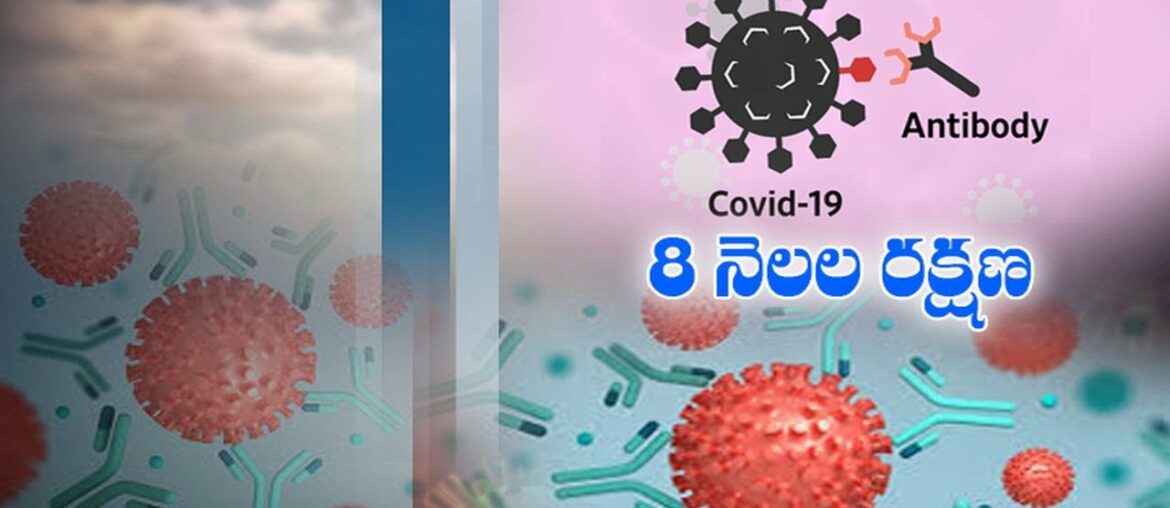 Coronavirus Immunity Lasts at least 8 Months, Hope for Longevity | Study