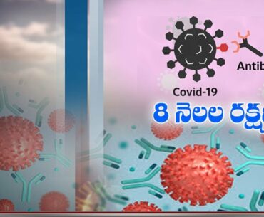 Coronavirus Immunity Lasts at least 8 Months, Hope for Longevity | Study