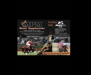 MPM Horse Supplements QR