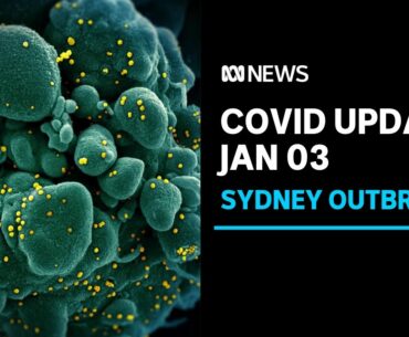 NSW records eight new COVID-19 cases, outbreak at BWS store now 'critical'  | ABC News