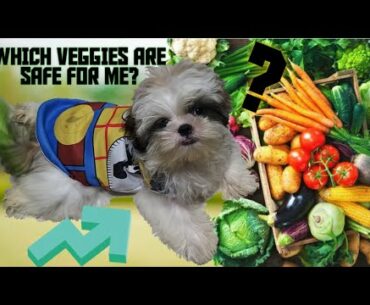 WHICH VEGGIES SAFE FOR OUR DOG || NUTRITION AND MORE VITAMINS