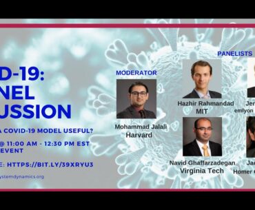 Modeling COVID-19: A Panel Discussion