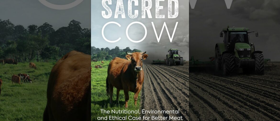 Sacred Cow