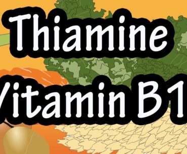 Vitamin B1 (Thiamine): Sources, Active form, Functions, Absorption, Transportation, and Beriberi