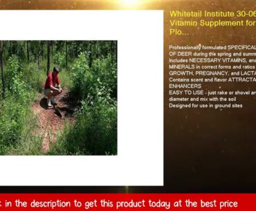 Whitetail Institute 30-06 Mineral and Vitamin Supplement for Deer Food Plots, Provides Antler-Build