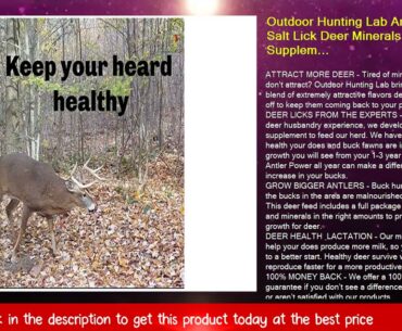 Outdoor Hunting Lab Antler Power Salt Lick Deer Minerals Whitetail Supplement Vitamin Feed Powder A