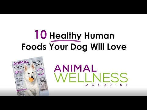 10 HEALTHY Human foods your dog can eat