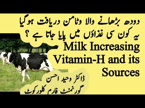 Sources of Milk Booster Vitamin H