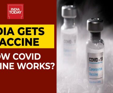 How Covishield, Covaxin & Pfizer's Covid Vaccine Work? | Coronavirus Update | India Today Exclusive