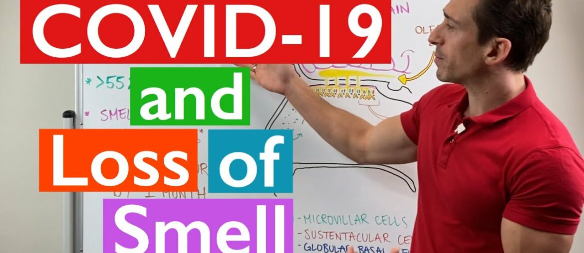 COVID-19 and Loss of Smell Explained
