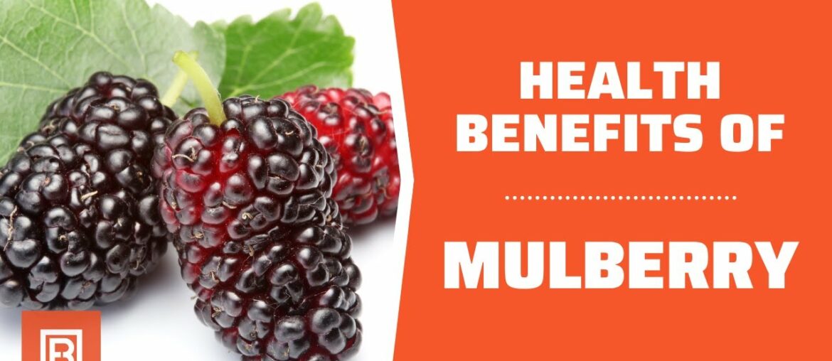 Health benefits of Mulberry: Why you should eat more mulberries!