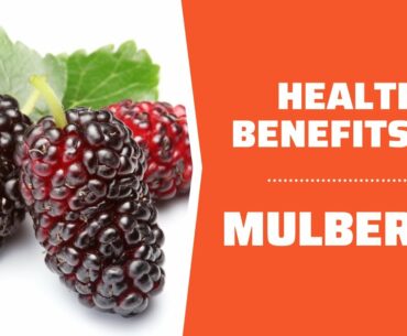 Health benefits of Mulberry: Why you should eat more mulberries!