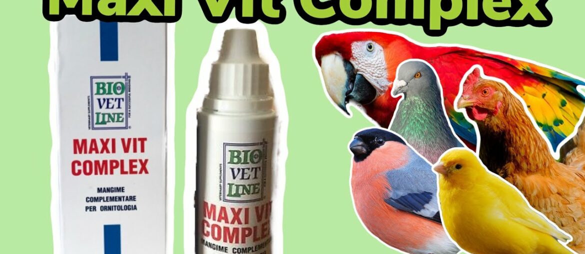 #Ad - BioVetLine Maxi Vit Complex | Multi Vitamin Supplement for Birds