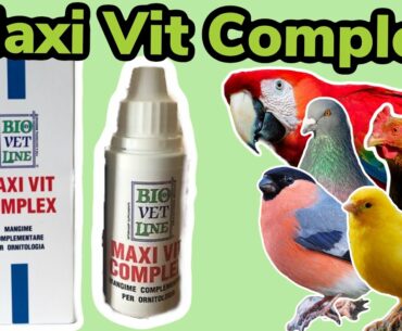 #Ad - BioVetLine Maxi Vit Complex | Multi Vitamin Supplement for Birds