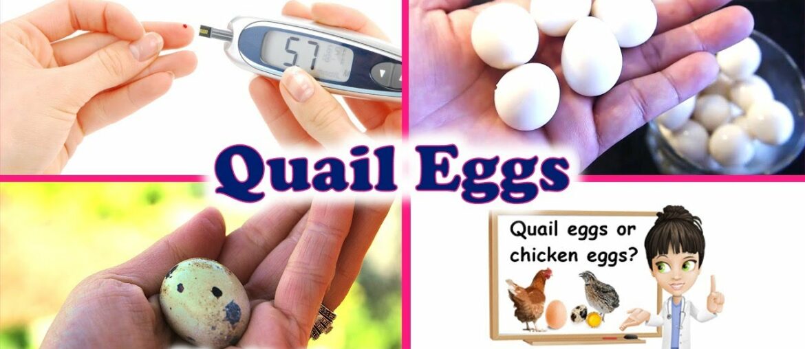 Quail Eggs Hard Boiling & Health Benefits | Nutrition Facts | Quail Eggs Vs Chicken Eggs