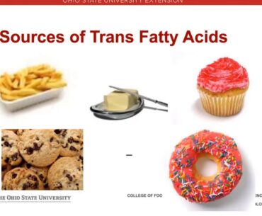 Fat in Diets - FOOD, NUTRITION, and WELLNESS - Dr. Dan Remley