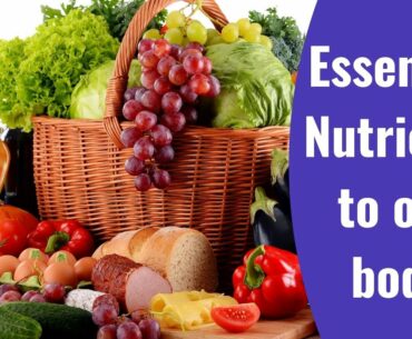 Essential nutrients for the body |What are nutrients ? |Necessary nutrients to our body