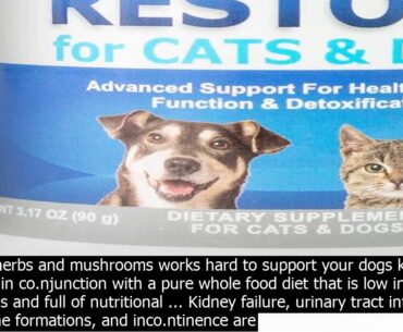 Kidney health supplements for dogs the last powerful kidney health supplement is vitamin c