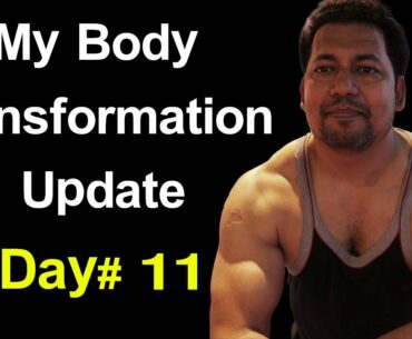 My Body Transformation Update | Day 11 | Shoulder Workout Day