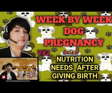 Week by week pregnancy period|Vitamins,Calcium and Milk Enhancer for dogs V#2