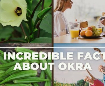 11 Incredible Facts About Okra