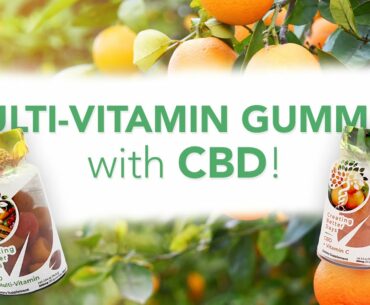 Multi-Vitamin CBD Gummies