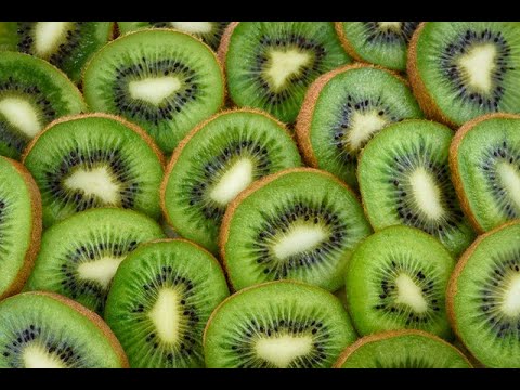 Kiwi Tasting