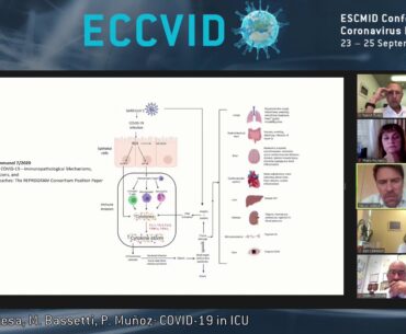 ECCVID: COVID-19 in ICU: light and shadows