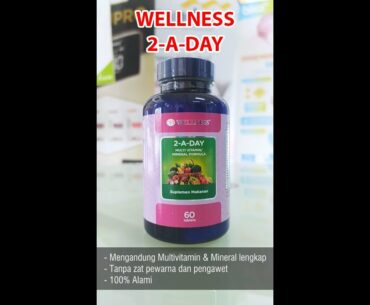 Wellness Multi Formula 2 A Day (Multi Vitamin / Mineral Formula)