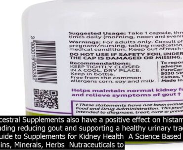 Kidney health supplements best kidney supplement to protect and support kidney function, c