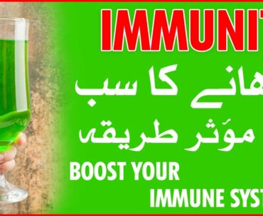 HOW TO BOOST YOUR IMMUNE SYSTEM - IMMUNITY BOOSTER THINGS