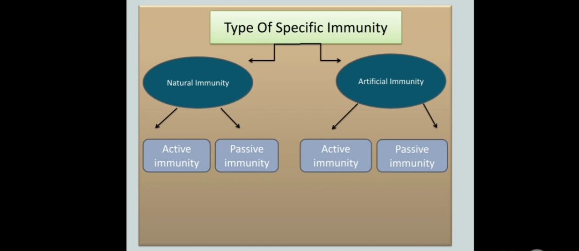 Type of Specific Immunity