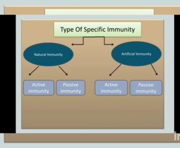 Type of Specific Immunity