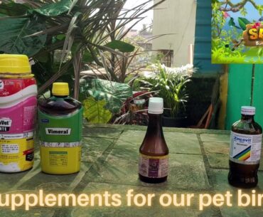 supplements for our pet birds