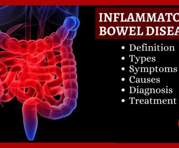 What is IBD? Inflammatory Bowel Disease Explanation