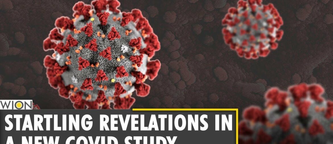 WION Fineprint: Coronavirus infection provides as much immunity as vaccines