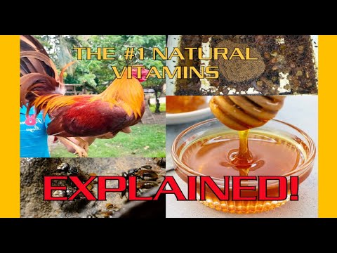 The #1 Natural Vitamins in our GAMEFOWL EXPLAINED