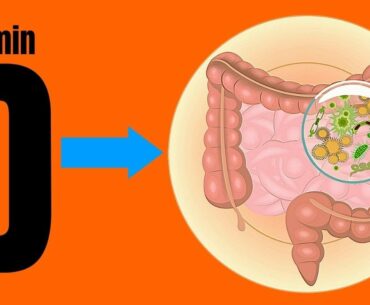 Gut bacteria and vitamin D: What is the link?