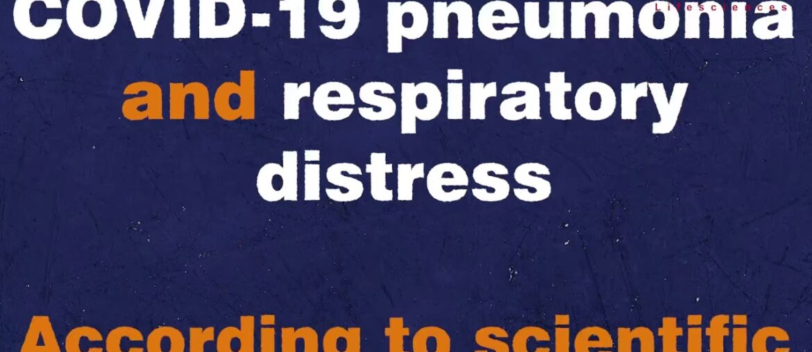 Immunity booster is essential during the COVID-19 pandemic